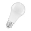 LED крушка Ledvance Antibacterial Classic A 100