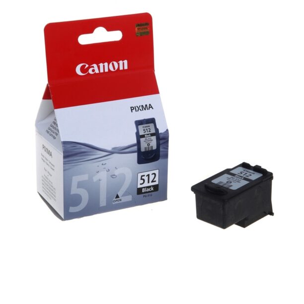 Касета CANON PIXMA BK PG-512 15ml 2969B001 цена