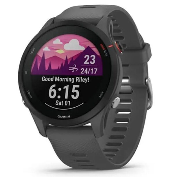 Смарт часовник Garmin Forerunner 255 Slate Gray