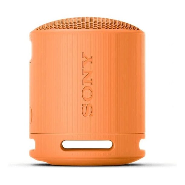 Тонколона Sony SRS-XB100