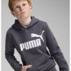 Худи Essentials с лого Puma