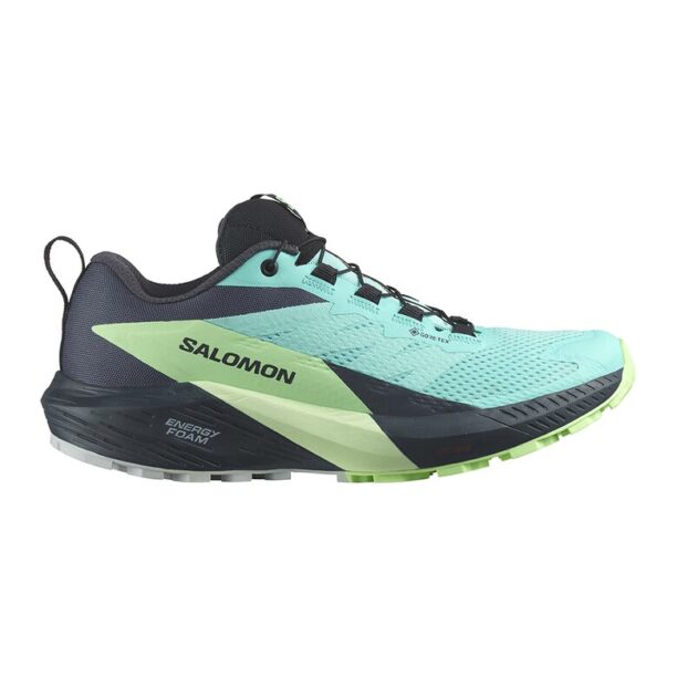 Обувки Sense Ride 5 GTX за бягане Salomon