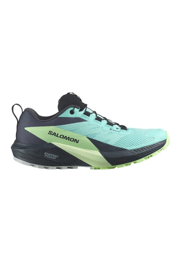 Обувки Sense Ride 5 GTX за бягане Salomon