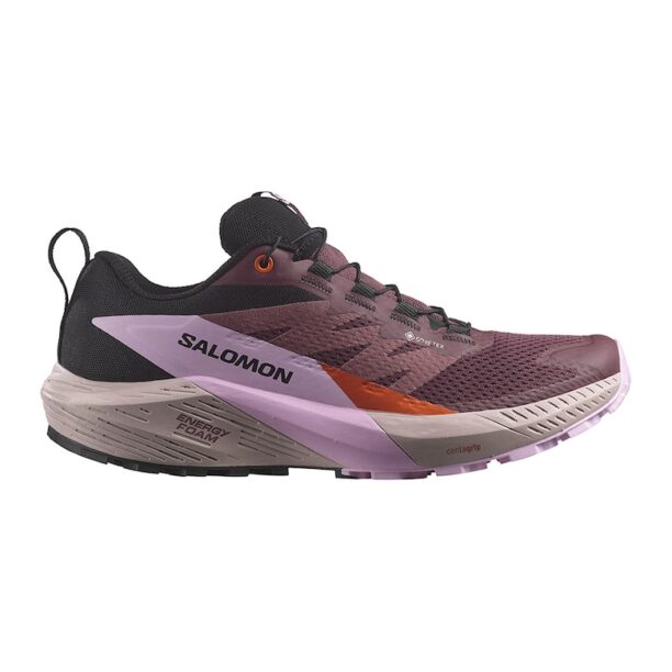 Обувки за трейл и бягане Sense Ride 5 GTX Salomon