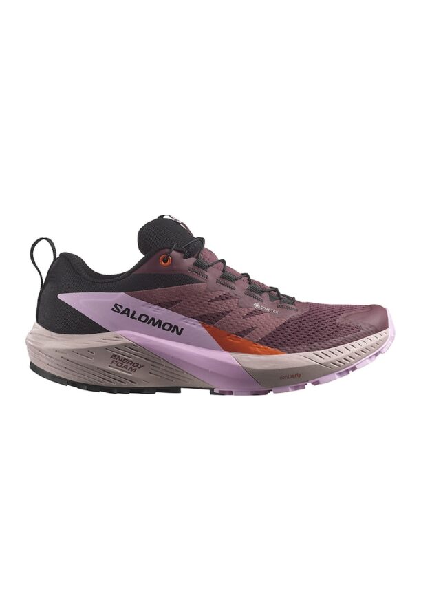 Обувки за трейл и бягане Sense Ride 5 GTX Salomon