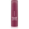 Catrice Blushin' Charm Multi Stick озаряващ руж в стик цвят 030 Ruby Darling 5.5 гр. на ниска цена